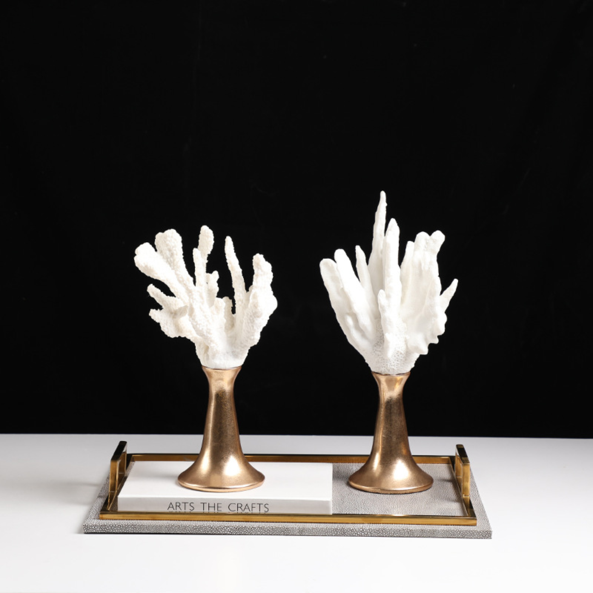 Antler coral A