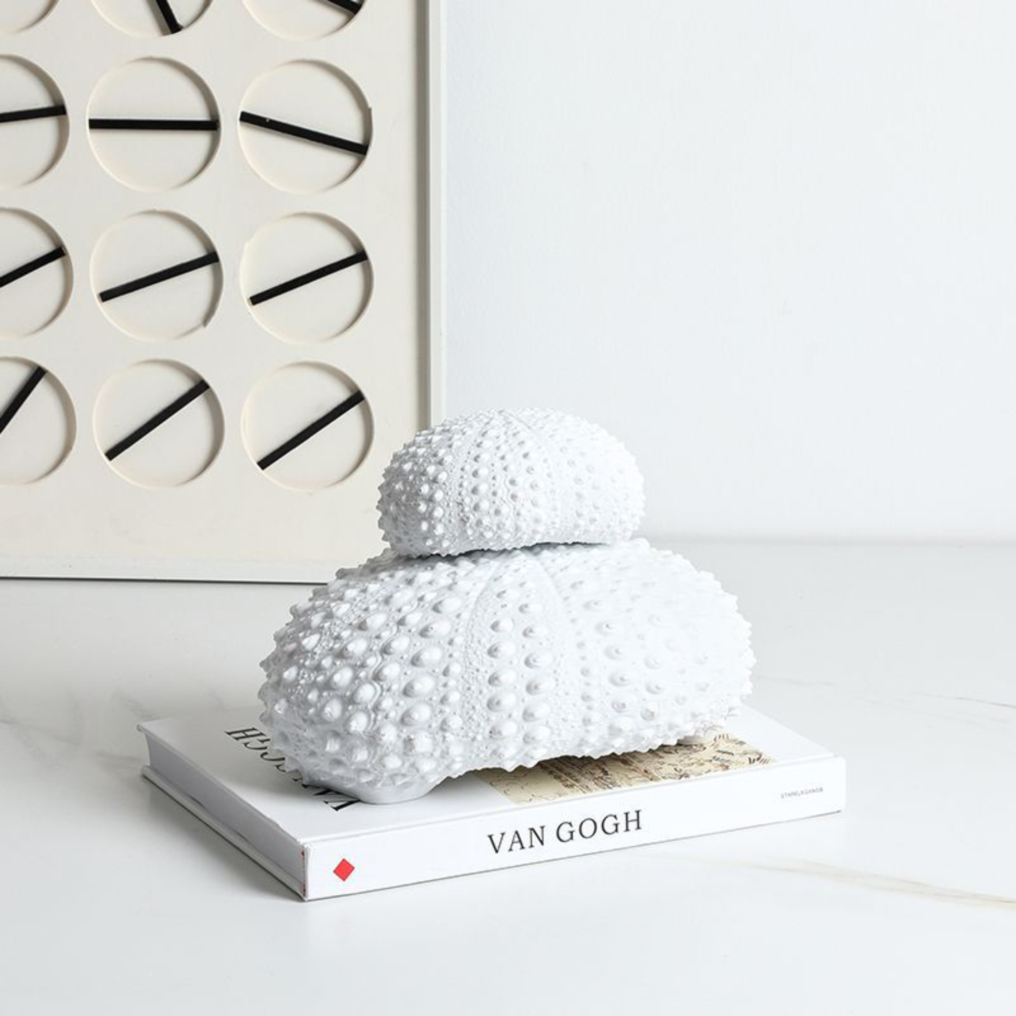 Sea urchin shell white B