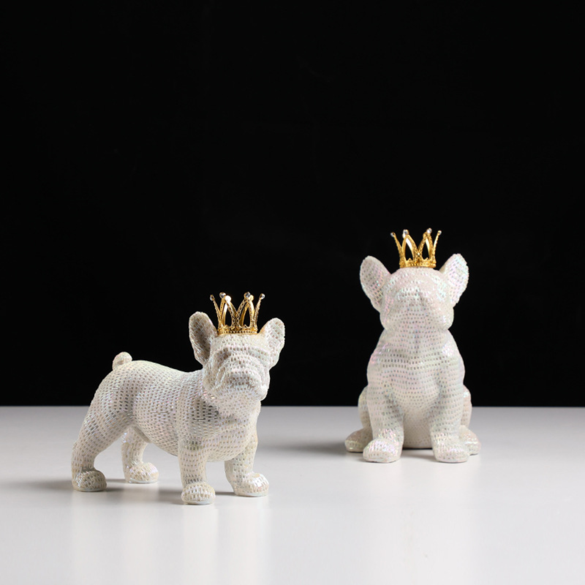 Dazzle standing dog B