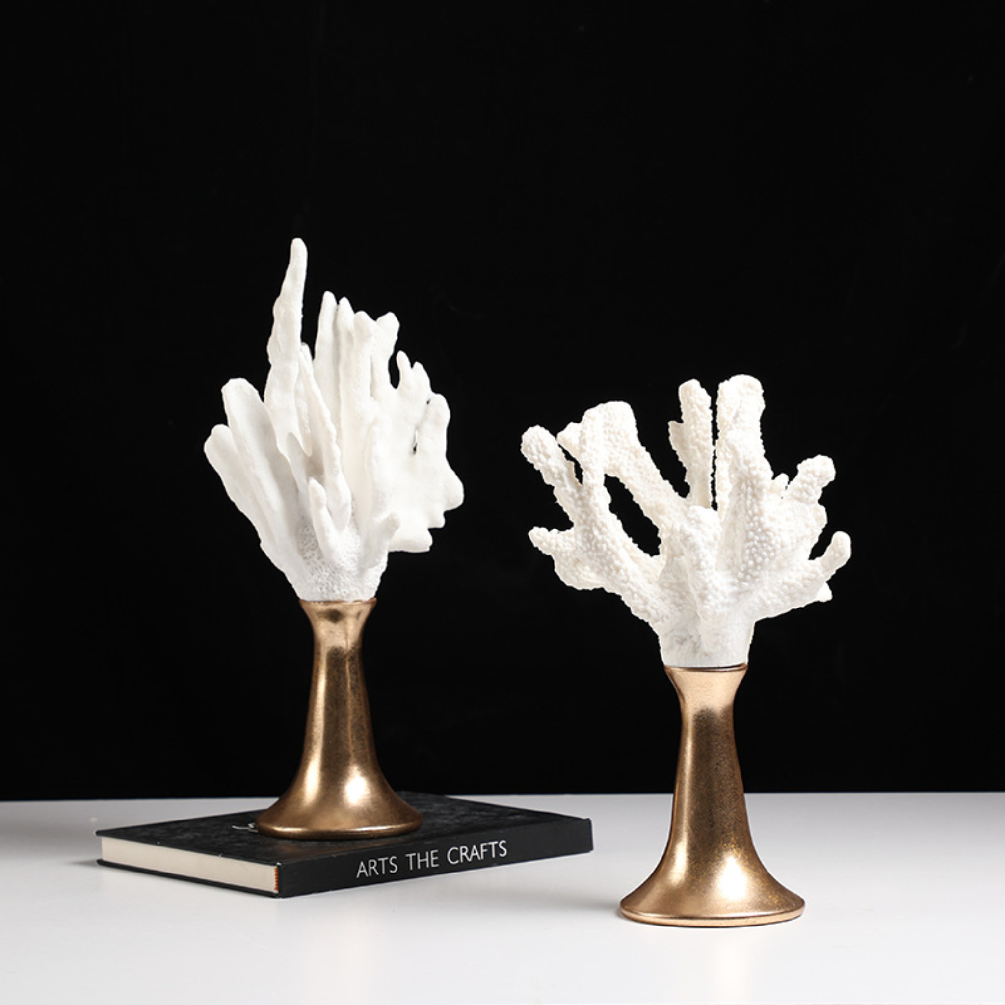 Antler coral A